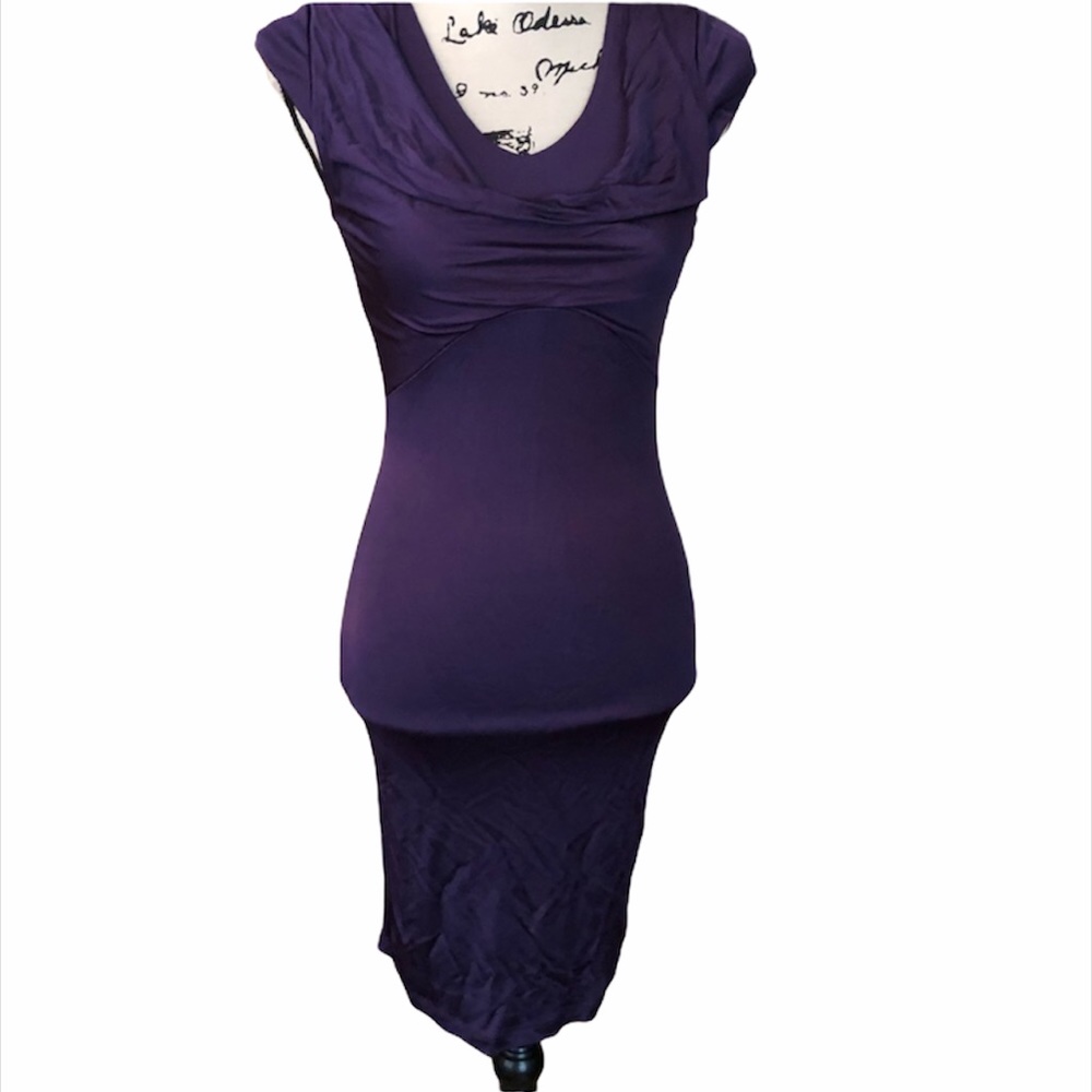 💚My Tribe NWT purple fitted dress